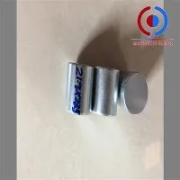 מגנטים ניאודימיום 300